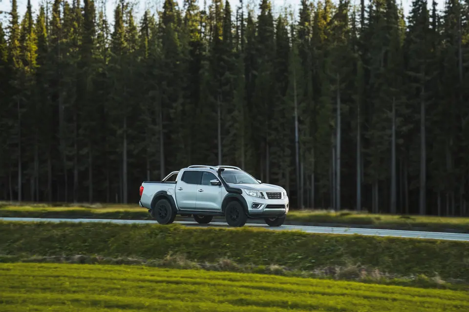 A silver pickup truck on a road beside a pine forest