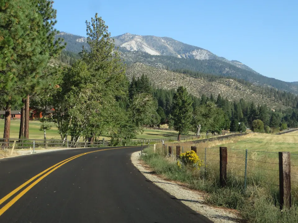 A two-lane road through pines in Washoe Valley